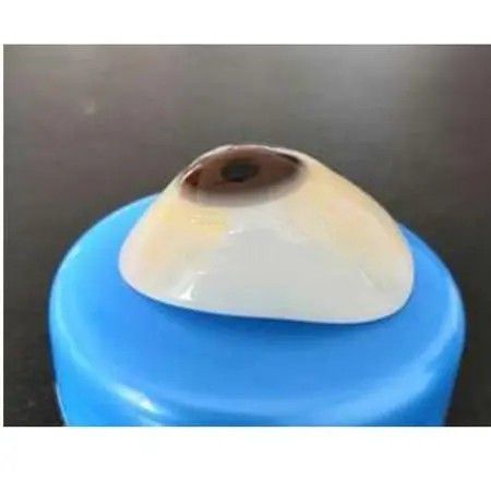 宜城义眼定制